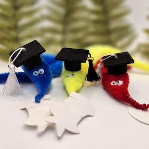 May include: Three colorful pipe cleaner worms wearing miniature black graduation caps with tassels. The worms are blue, yellow, and red, each with googly eyes. White paper cutouts are in the foreground. The background is blurred.