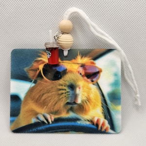Könnte beinhalten: Ein Auto-Lufterfrischer mit einem Meerschweinchen, das eine Sonnenbrille trägt und ein Auto fährt. Der Lufterfrischer hat einen roten und weißen Getränke-Anhänger.