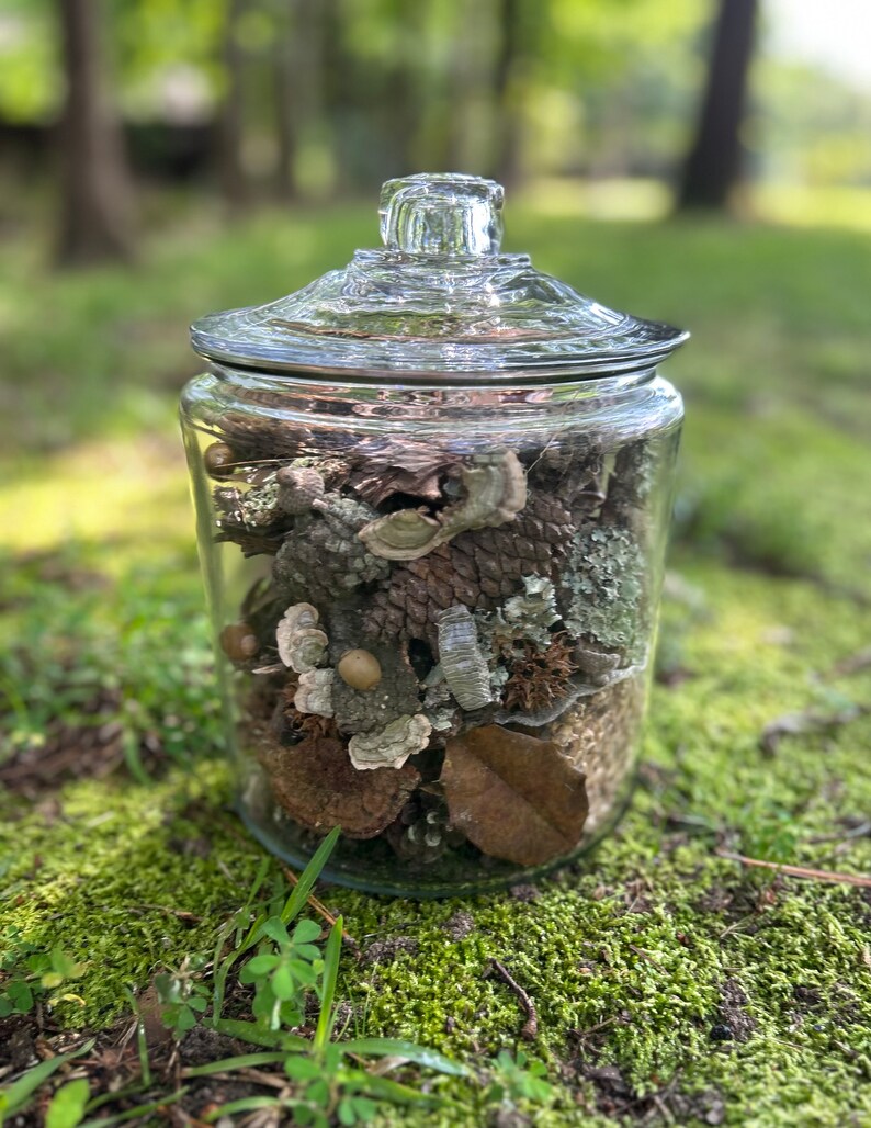 Forest Floor Finds Etsy