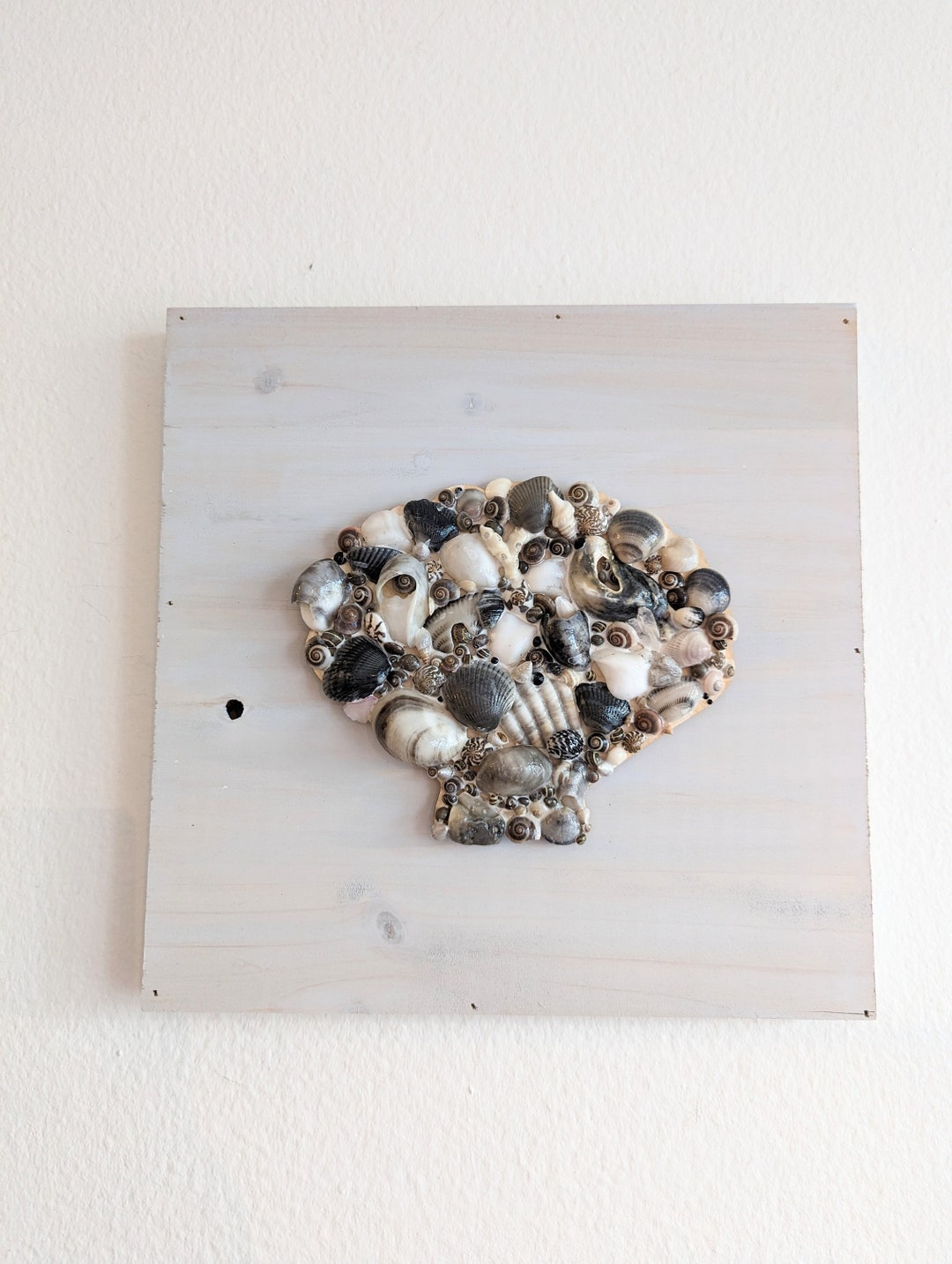 Black to White Seashell Wall Decor, Shell Coastal Beach Decor, Beach
