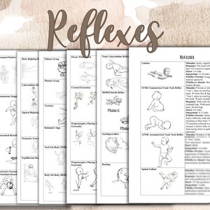 Developmental Reflexes for Occupational Therapists