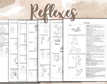 May include: Black and white illustrations of various reflexes for infants and toddlers. The illustrations show different positions and movements, with descriptions of each reflex and its integration period. The text "Reflexes" is at the top of the page, and the text "PASS THE NBCOT" is on the right side of the page.