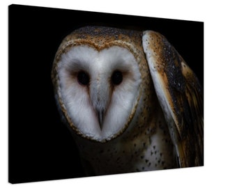 Majestic Owl Wildlife Canvas Wall Art Print "Silent Majesty: A Portrait of Wisdom"