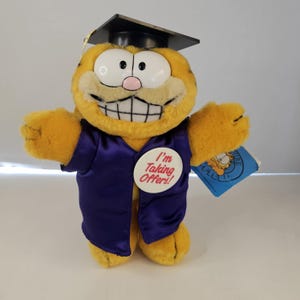 Garfield Plush Graduation - Etsy