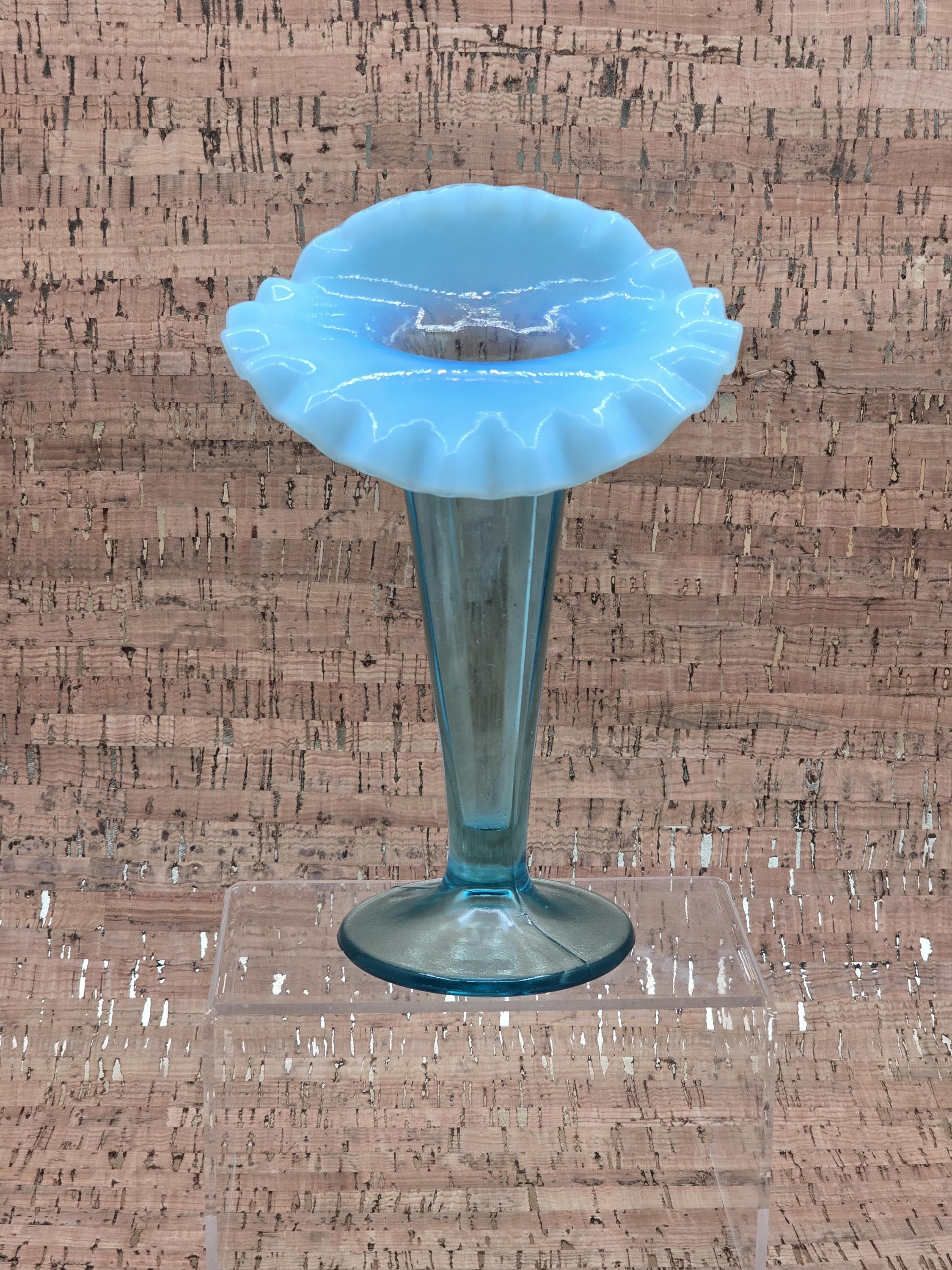 Jack in the Pulpit Opalescent - Etsy