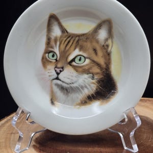 Vintage Cat Trinket Dish Plate – Green Eyed Tabby – Made in Japan