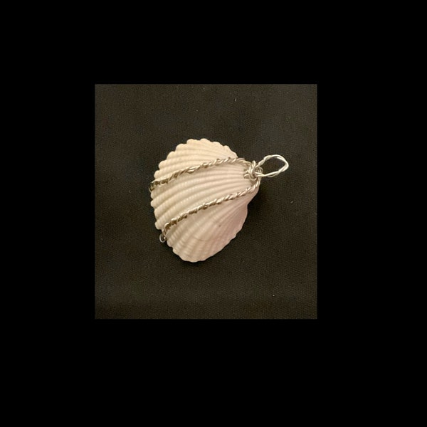 Wire Wrapped Shell Pendant
