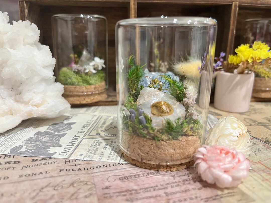 Golden Ladybug in Glass Dome - Etsy