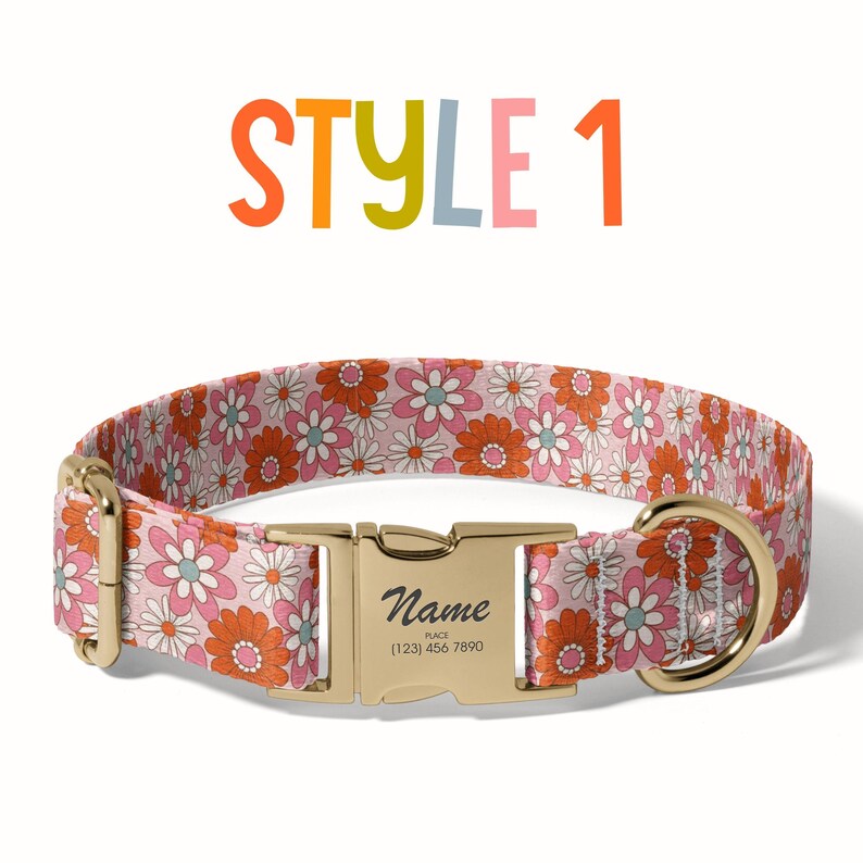 a dog collar with a name tag on it