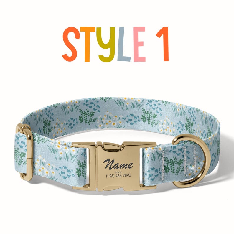 a dog collar with a name tag on it