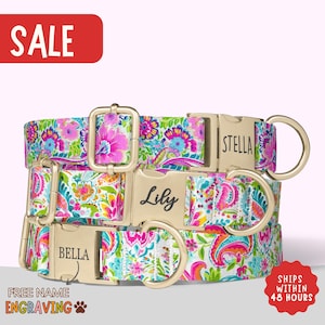 Paisley Dog Collar Personalized Floral Dog Collar with Name 70s Style Dog Collar For Summer Vacation Dog Collar Leash Collar Gift Dog PP-180