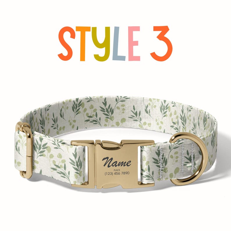 a dog collar with a name tag on it