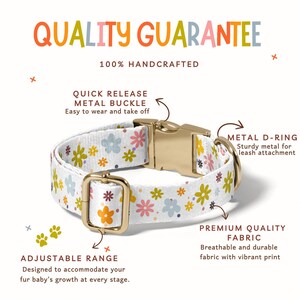 a white dog collar with flowers on it