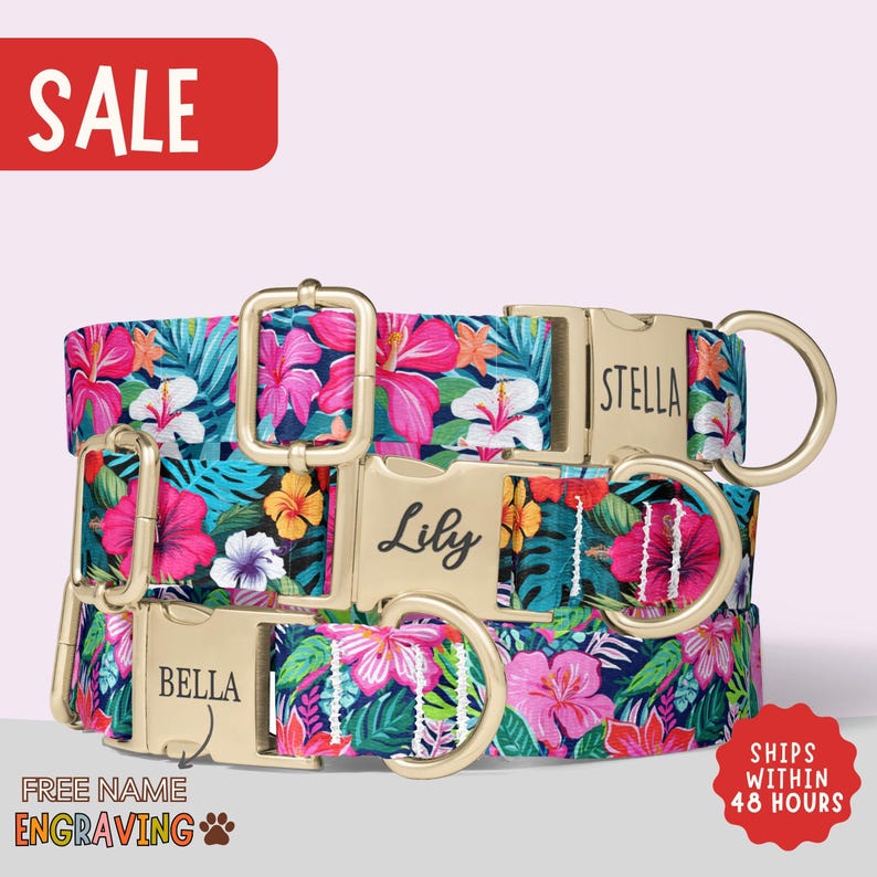 Hawaiian Floral Dog Collar Custom Engraved Name Tropical Dog Collars For Dog Mom Gift With Metal Leash Set Aloha Dog Collar Summer PP-258