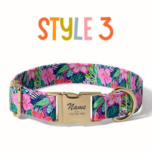 a dog collar with a name tag on it