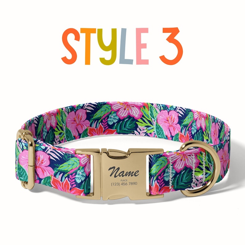a dog collar with a name tag on it
