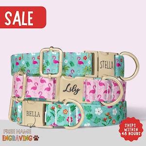 Tropical Dog Collar Personalized Flamingo Dog Collar with Name Summer Aloha Collar Engraved Dog Collar Girl Dog Collar Boy Set PP-185