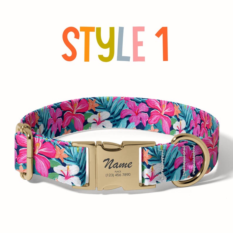 a dog collar with a name tag on it