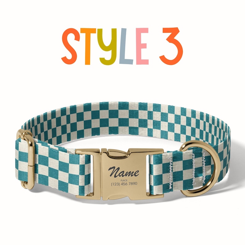 a dog collar with a name tag on it