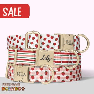 Collar para perro con diseño de fresa y nombre, conjunto de collar de verano a juego, collar para perrita con estampado de frutas, regalo personalizado para mascotas, perrita PP-19
