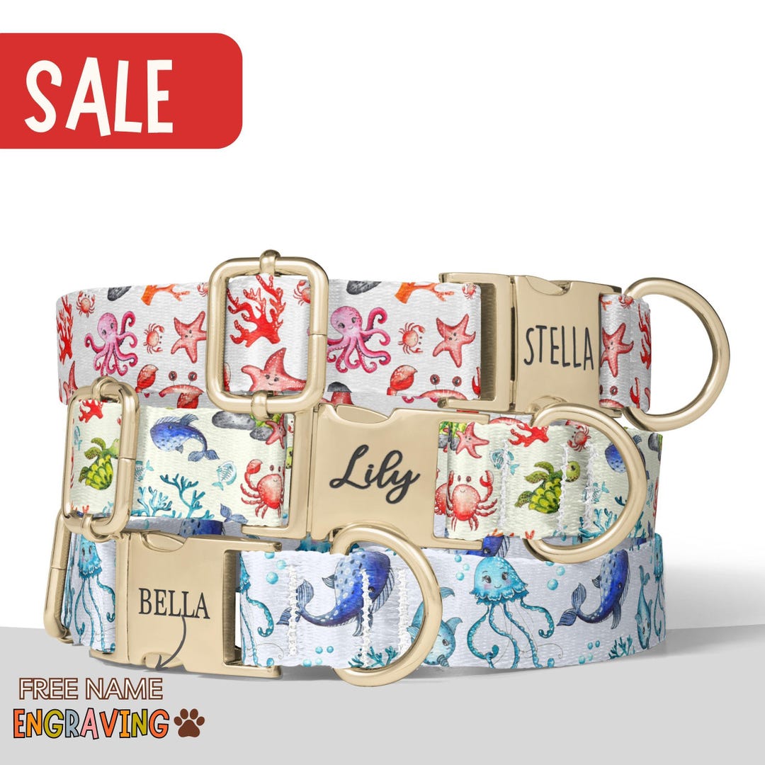 Ocean Dog Collar Under the Sea Dog Collar Dog Collar Girl Sea Life Dog ...