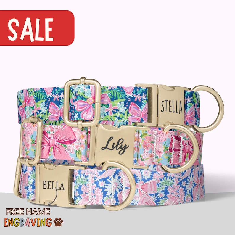 Coquette Dog Collar Girl Personalized Flower Bow Dog Collar with Name Floral Dog Collar Leash Engraved Pet Name Girl Dog Collar Valentine