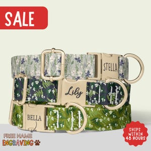 Woodland Botanical Dog Collar Personalized Forest Floral Dog Collar with Name Green Floral Girl Dog Collar Matching Leash Set Nature PP-393
