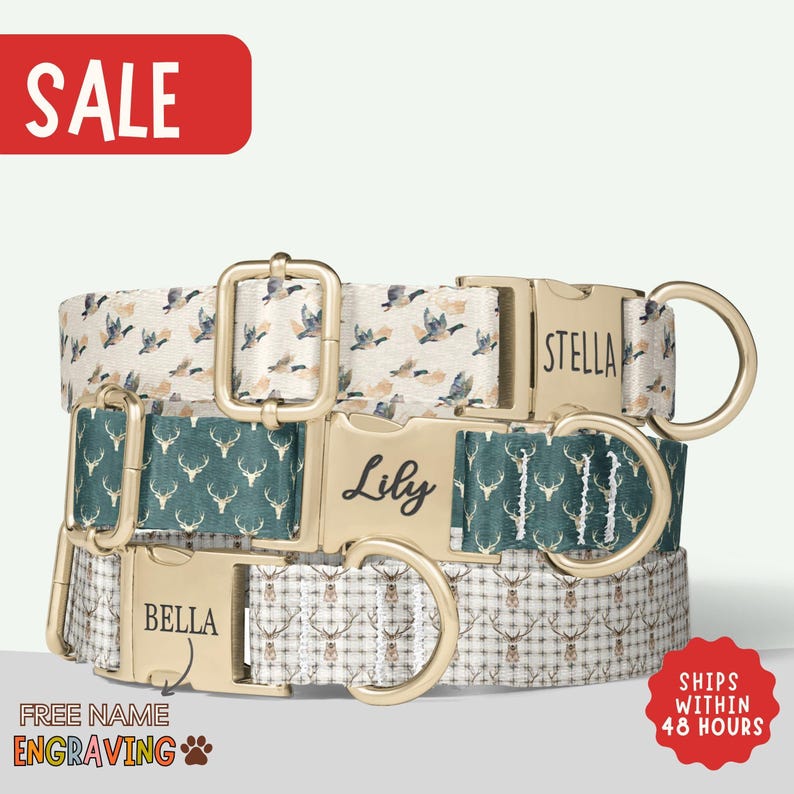 Hunting Dog Collar Personalized Mallard Duck Dog Collar with Name Boy Dog Collar Woodland Antler Dog Collar Leash Set Engraved Collar PP-135