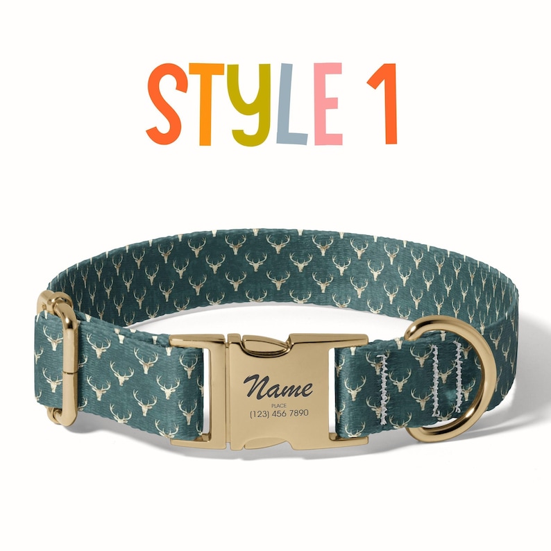 a dog collar with a name tag on it