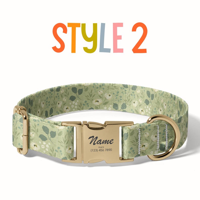 a dog collar with a name tag on it