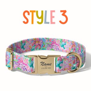 a dog collar with a name tag on it
