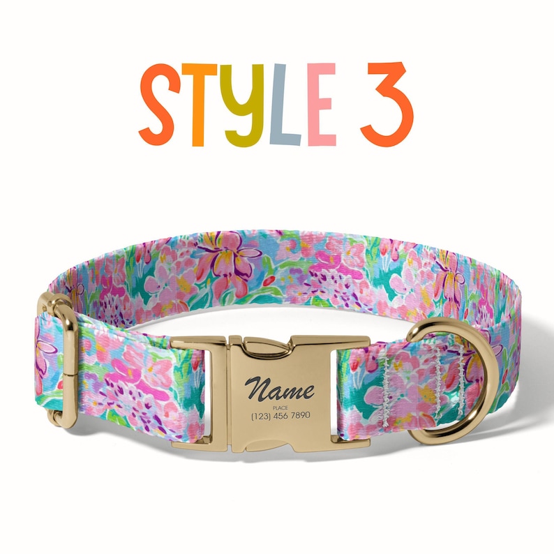 a dog collar with a name tag on it