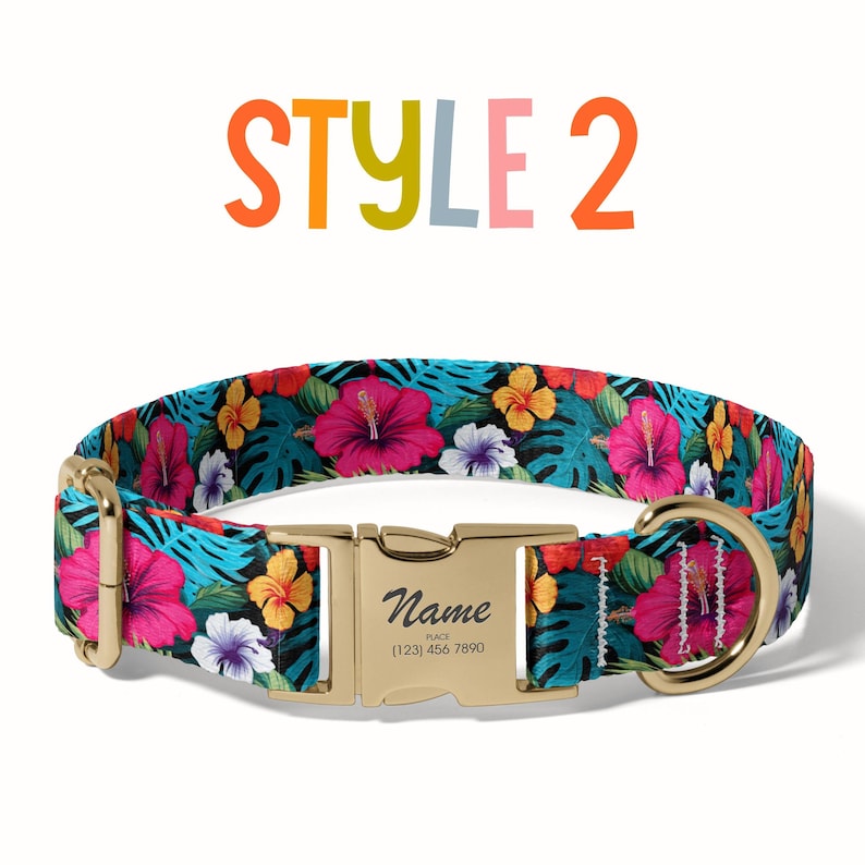 a dog collar with a name tag on it