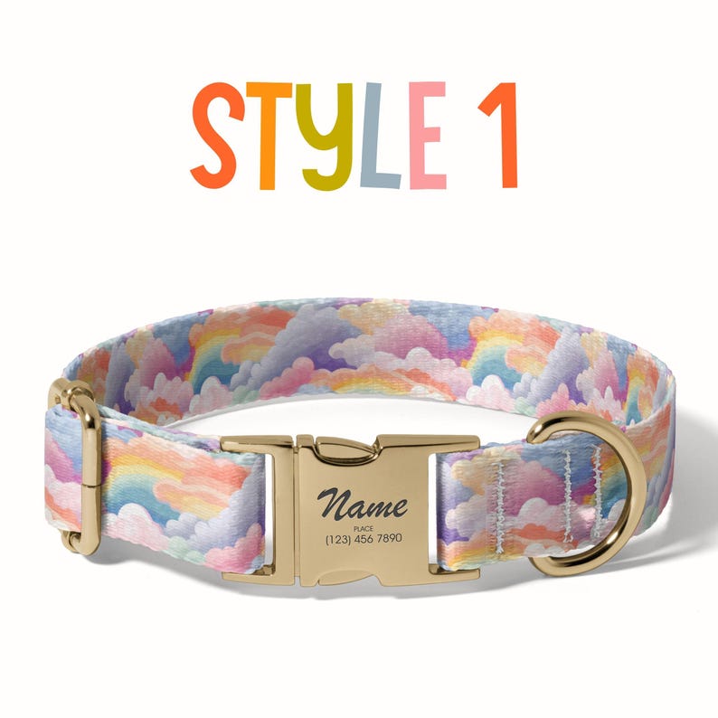 a dog collar with a name tag on it