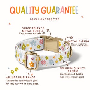 a white dog collar with flowers on it