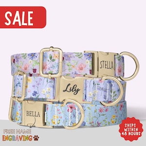 Blue Watercolor Dog Collar Boy Dog Collar With Name Floral Dog Collar With Leash Engraved Pet Name Collar Floral Collar Spring Summer PP-328