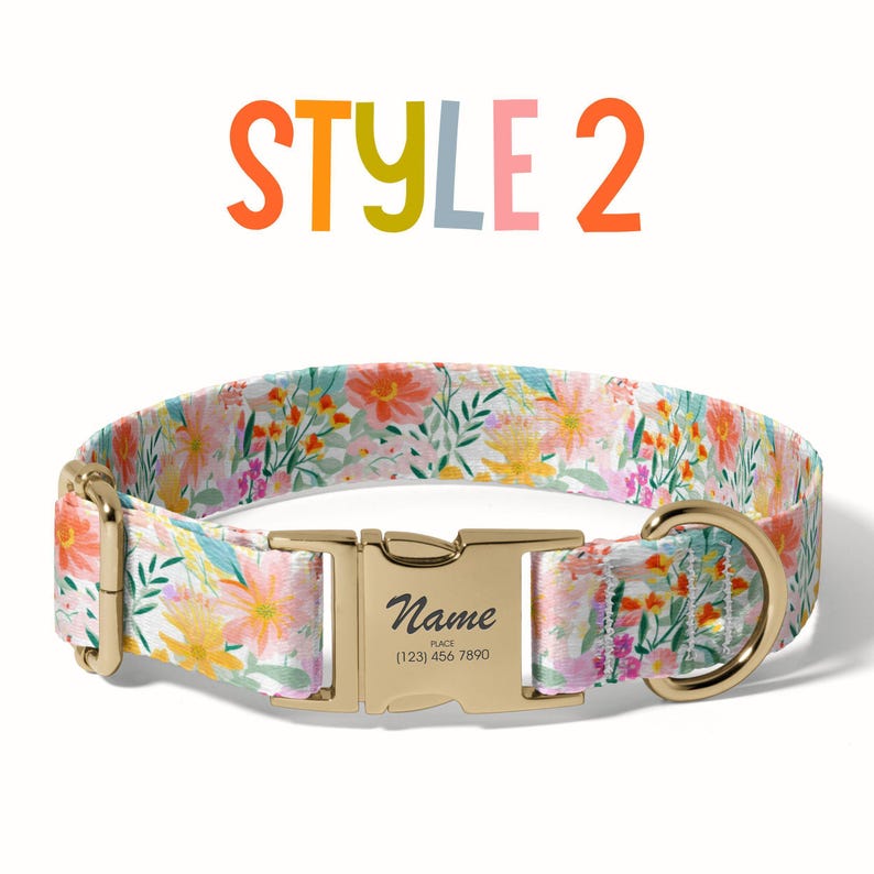 a dog collar with a name tag on it