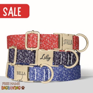 Paisley Dog Collar Personalized Bandana Dog Collar with Name Boy Dog Gift Matching Leash Set Country Engraved Dog Collar Pet Gift PP-100