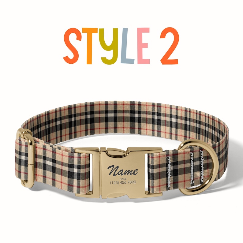a dog collar with a name tag on it
