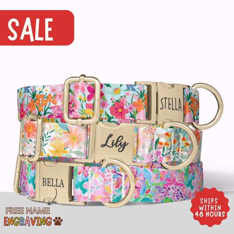 a colorful floral dog collar with a name tag