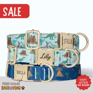 Dinosaur Dog Collar Dino Personalized Dog Collar with Name Leash Engraved Pet Name Collar Adventure Dog Collar Blue Green PP-364