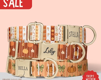 Personalized Fall Dog Collar: Pumpkin Harvest, Orange & Brown Cotton