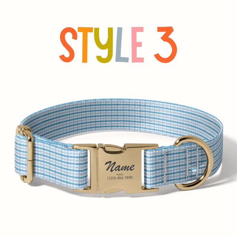 a dog collar with a name tag on it