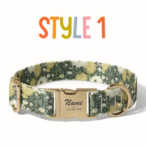 a dog collar with a name tag on it