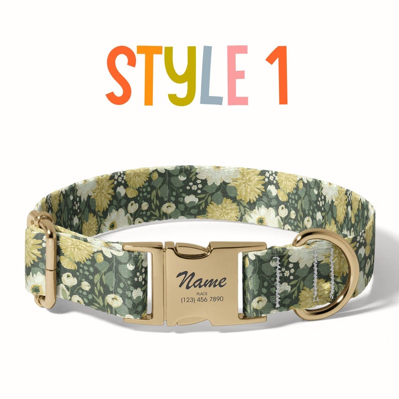 a dog collar with a name tag on it