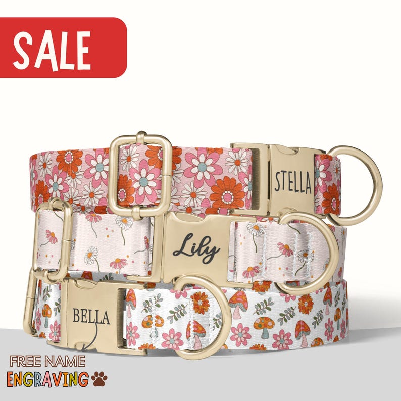 Daisy Pattern Dog Collar Personalized Cottagecore Dog Collar with Name Engraved Mushroom Dog Collar Girl Dog Collar Boy Matching Leash Set