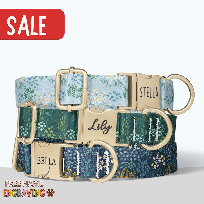 Floral Dog Collar with Personalized Tag Blue Flower Dog Collar and Leash Set Dog Collar for Wedding Gift Floral Engraved Name on Dog Collar