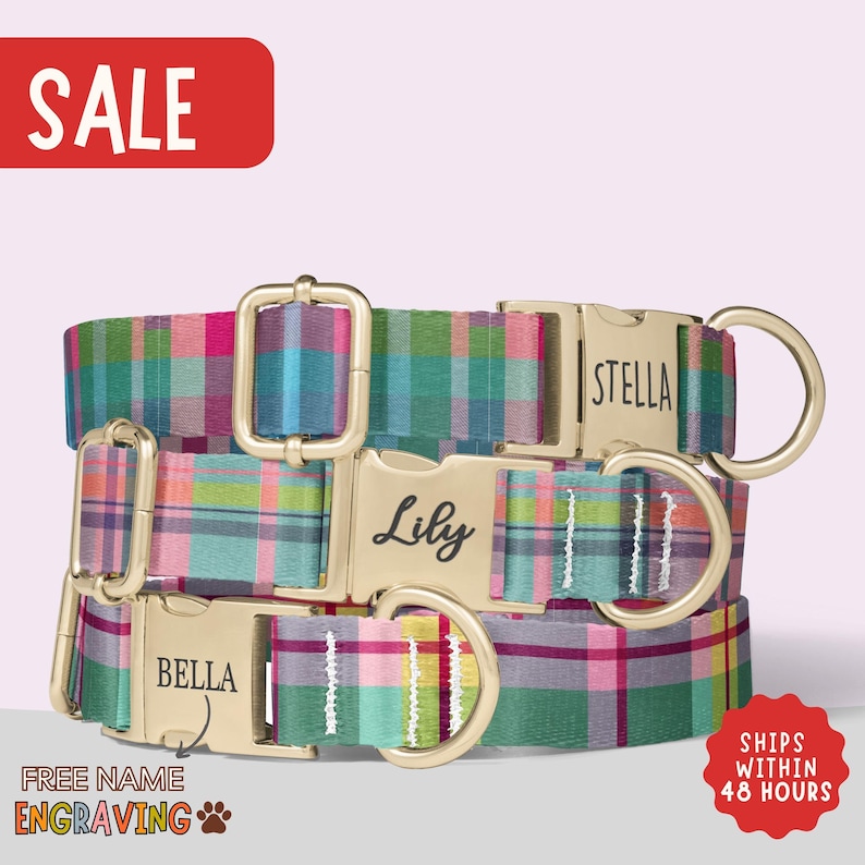 a colorful plaid dog collar with personalized names
