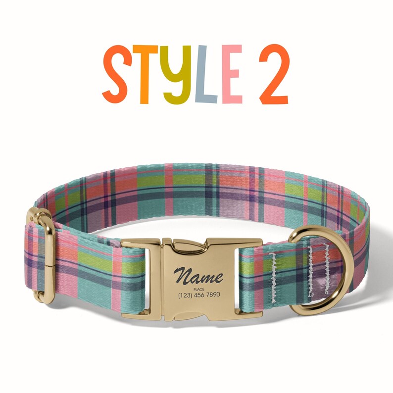 a dog collar with a name tag on it