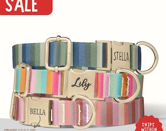 Striped Dog Collar Personalized Rainbow Stripe Dog Collar with Name Girl Dog Collar Gift Dog Collar Leash Set Engraved Dog Collar PP-125